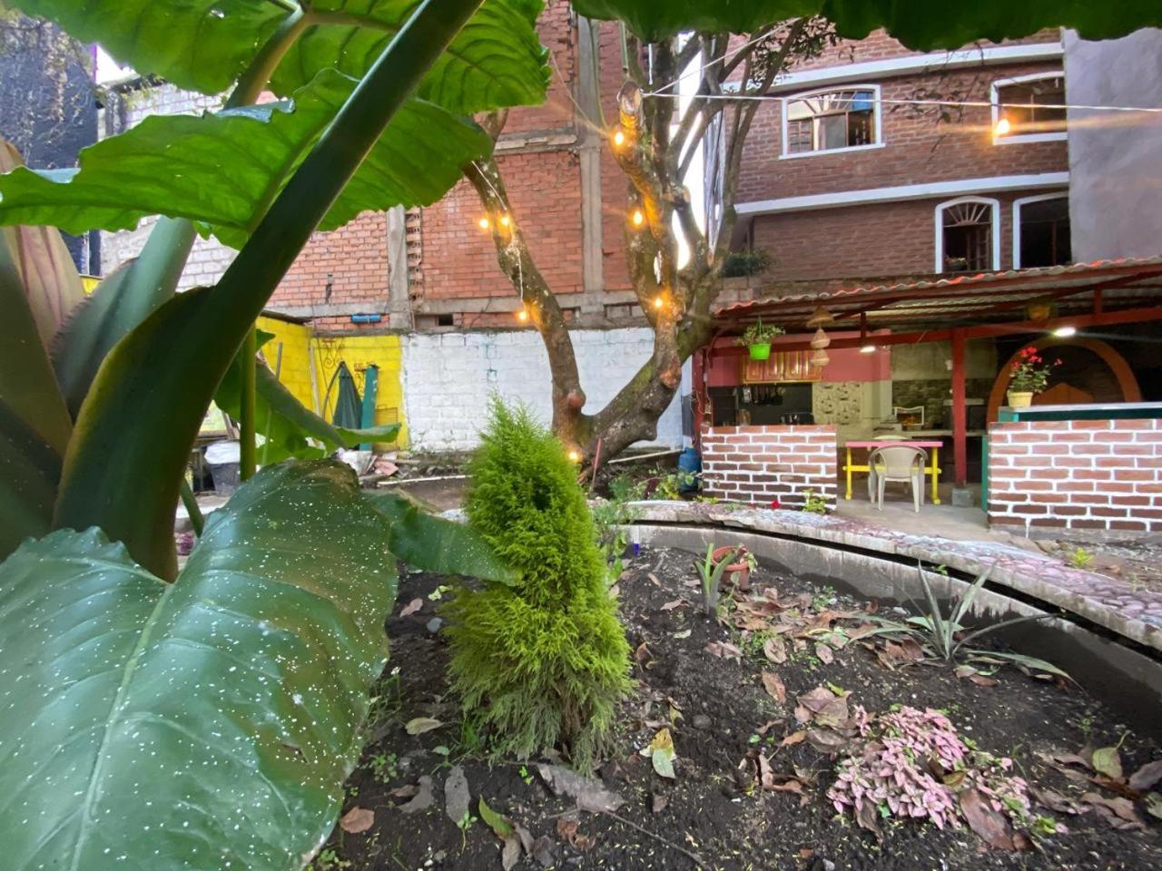 Garden House Hostal بانيوس المظهر الخارجي الصورة