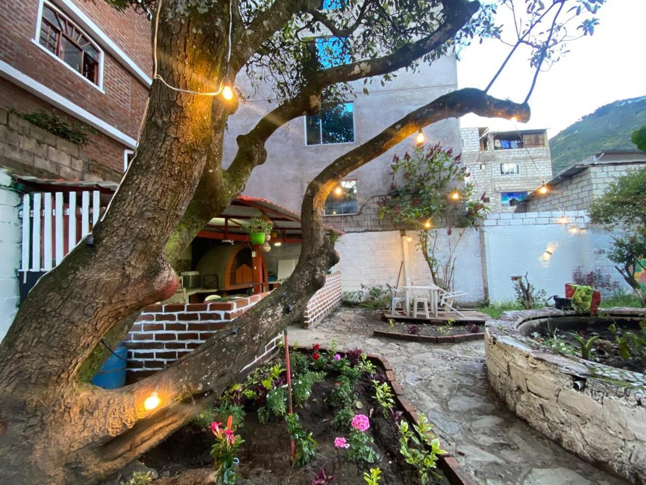 Garden House Hostal بانيوس المظهر الخارجي الصورة