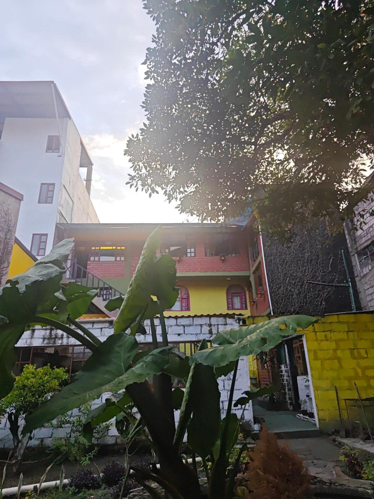 Garden House Hostal بانيوس المظهر الخارجي الصورة